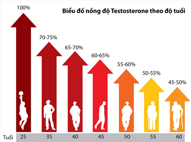Nồng độ testosterone suy giảm theo độ tuổi là nguyên nhân gây yếu sinh lý ở nam giới