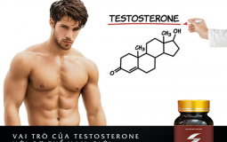 Testosterone có vai trò quan trọng đối với cả chuyện sinh lý và sức khoẻ sinh sản của nam giới